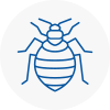 Bed Bug Extermination In Downham Market